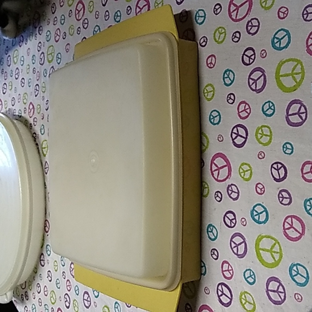 Tupperware Develed Egg Tray